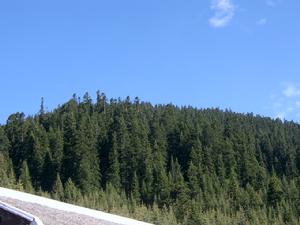 副極地大陸性氣候