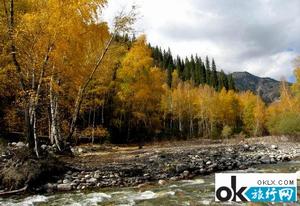 哈日圖熱格國家森林公園