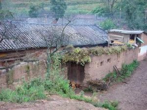 大石岩村[於雲南省曲靖會澤縣新街回族鄉大石岩村]