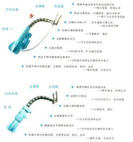 心臟穩定器 心臟穩定器