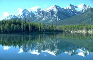 副極地大陸性氣候