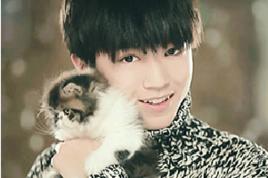 TFBOYS大拼圖 TFBOYS大拼圖
