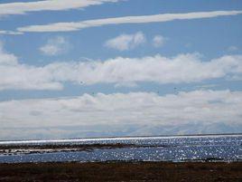 阿牙克庫木湖 阿牙克庫木湖