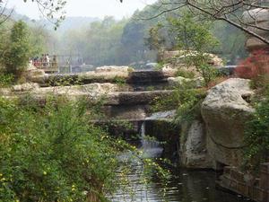 千佛山古建築及植物