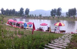 富江新沙島茗悅農家樂