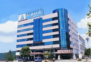 李德軍[東湖高新獨立董事]