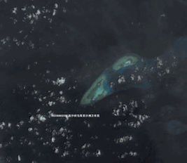 雙黃沙洲 雙黃沙洲