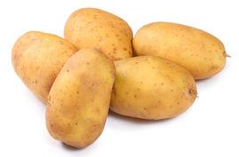 圍場馬鈴薯 圍場馬鈴薯