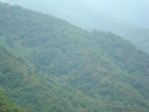 獅子窩自然村 獅子窩自然村