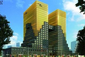 黃金大褲衩 黃金大褲衩