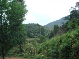 小橋溝自然村 小橋溝自然村