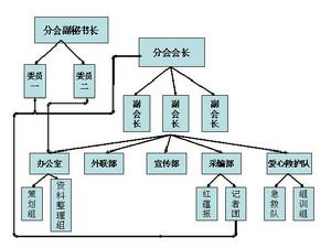 江財紅會各校區分會組織結構