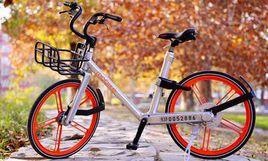 摩拜一族 摩拜一族