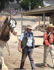 西部牛仔 西部牛仔