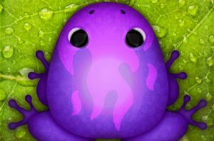 口袋青蛙 口袋青蛙