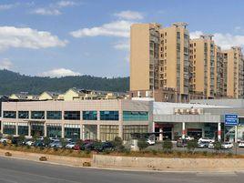 湖南九城投資集團有限公司 湖南九城投資集團有限公司