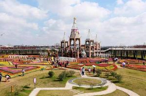 浦江郊野公園 浦江郊野公園