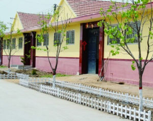 東流河莊村 東流河莊村