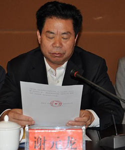 謝元龍[婁底市人大常委會副主任]