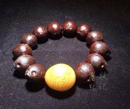 金鼠菩提 金鼠菩提