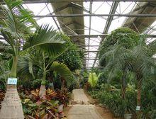 北戴河集發生態農業觀光園