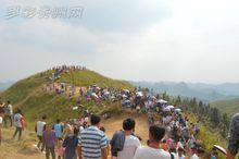 廷牌高豐端坡相冊