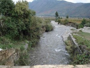 義和自然村 義和自然村