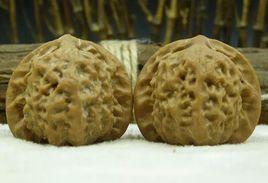 官印獅子頭 官印獅子頭