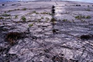 伊魯吉拉伯島現狀