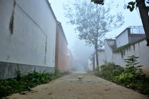 中黃村[河南省太康縣高朗鄉下轄村]