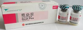 山羊痘活疫苗 山羊痘活疫苗