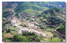 張地村[福建泰寧縣大龍鄉下轄村]