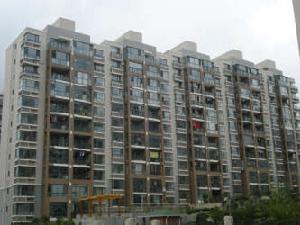 星海大第 星海大第