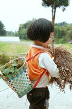 提供技術指導並資助的合作農戶