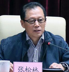 張松林[山東省體育局黨組書記、局長]