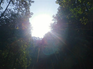 三百洞森林度假村