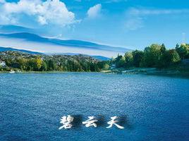 碧雲天[1953年王引導演香港電影]