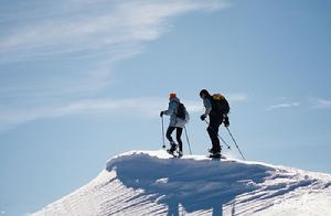 阿爾卑斯式登山