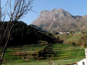 長妹墳村 長妹墳村