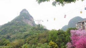 魚峰山—馬鞍山纜車 魚峰山—馬鞍山纜車