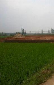 石灘鎮[江西豐城市石灘鎮]