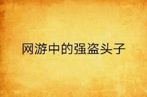 網遊中的強盜頭子 網遊中的強盜頭子