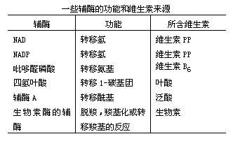 甲基巴豆醯輔酶