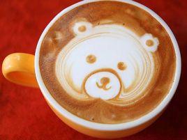 小熊拉花 小熊拉花