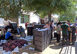 紅旗村[陝西省大荔縣高明鎮紅旗村]