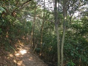 大埔滘自然教育中心