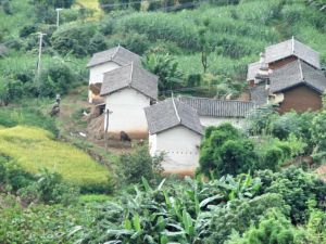 箐北自然村 箐北自然村