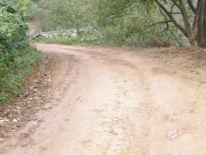 東升羊窩子自然村 東升羊窩子自然村