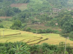 小曼龍自然村 小曼龍自然村