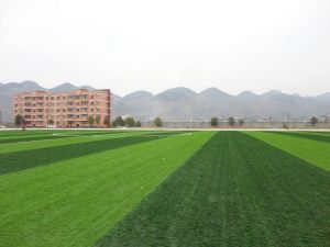 訥河市青色草原種畜場草原學校 訥河市青色草原種畜場草原學校